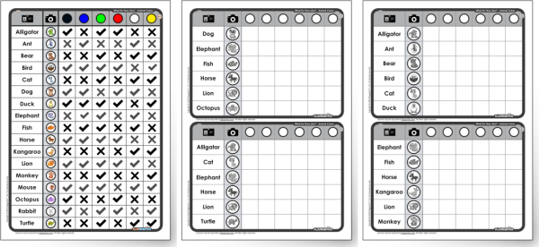Resource Set: Color Survey Activities