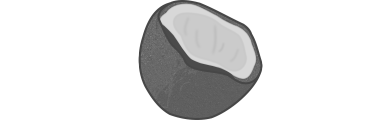 Coconut Icon