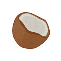 Coconut Icon