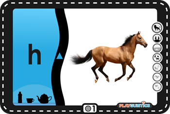 'horse' Standard Flashcards