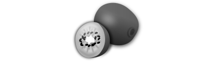 Kiwi Icon