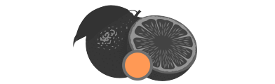 Orange Icon