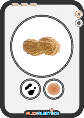 A15 - Food Cards - Peanut