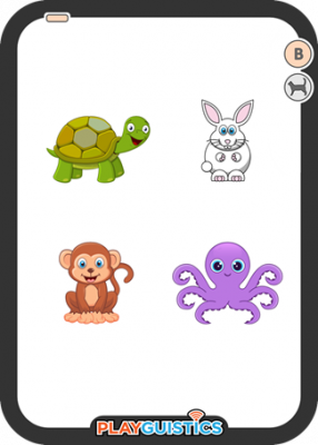 B6 - Animal Cards