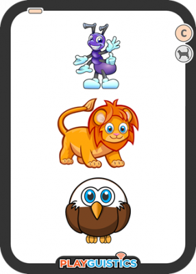 C6 - Animal Cards
