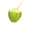 coconut milk icon